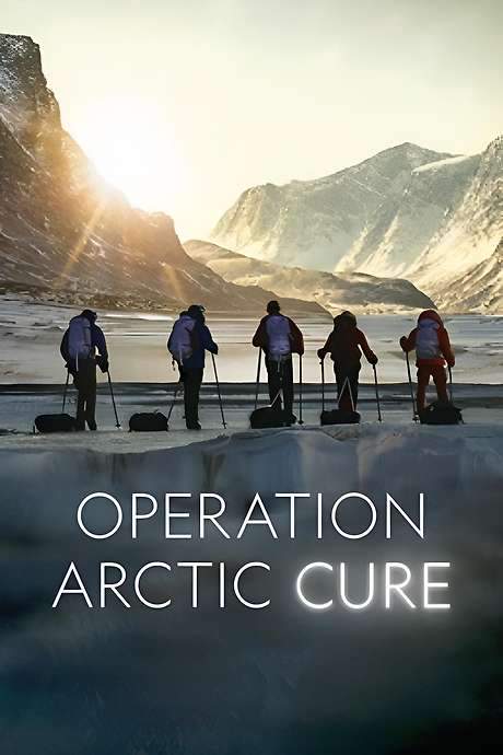 Operation Arctic Cure